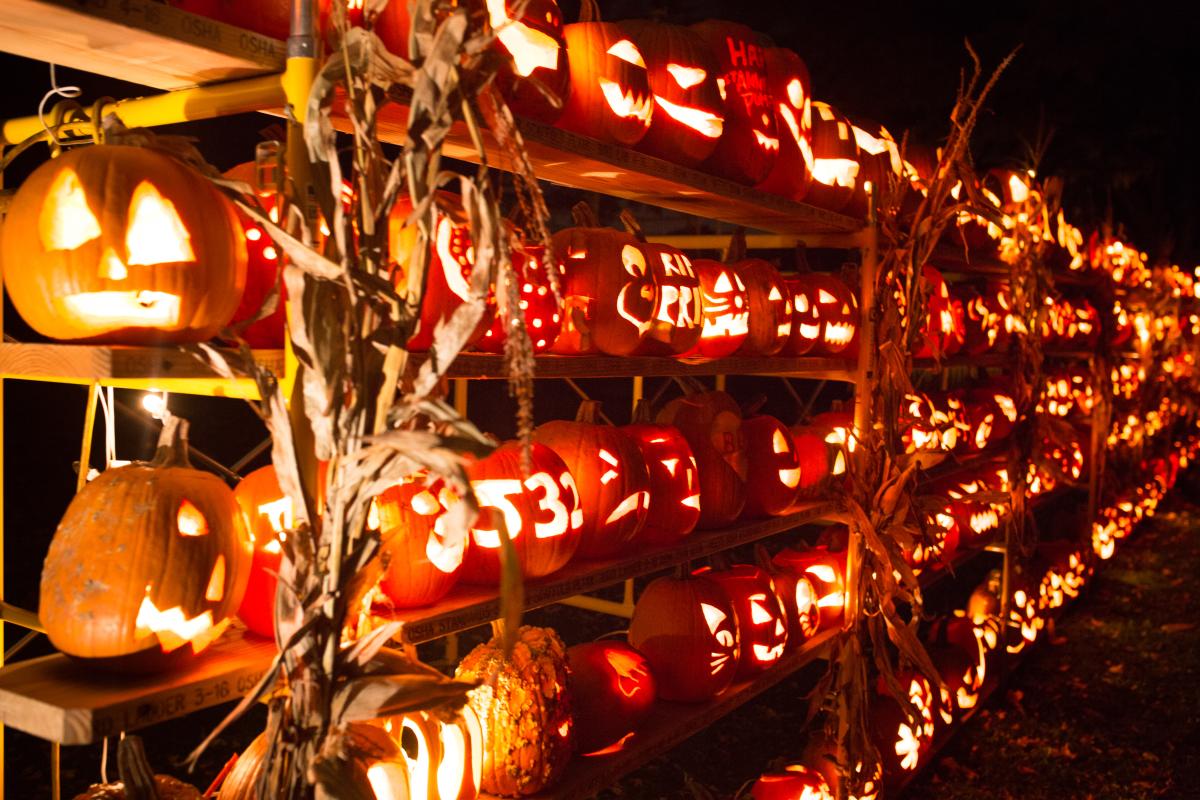 A large display of jack-o-lanterns