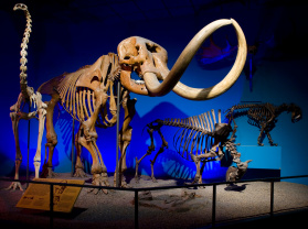 Milwaukee Public Museum