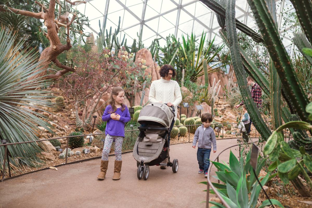 A family walking through the Mitchell Park Domes admiring the flora.