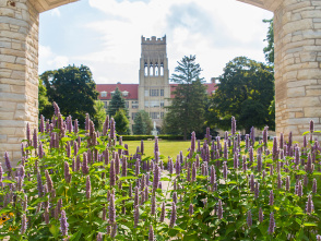 Mount Mary University