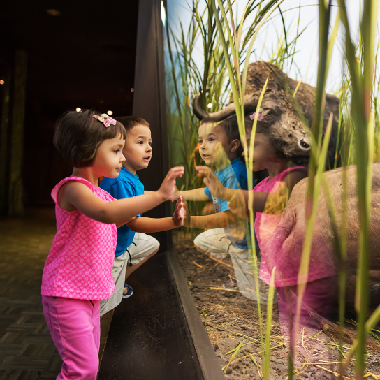 kids lean against exhibit glass