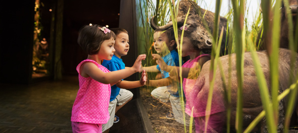 kids lean against exhibit glass