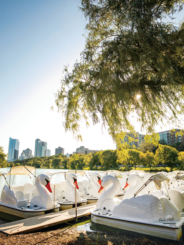 swan boats with scenic view of Veterans Park Lagoon